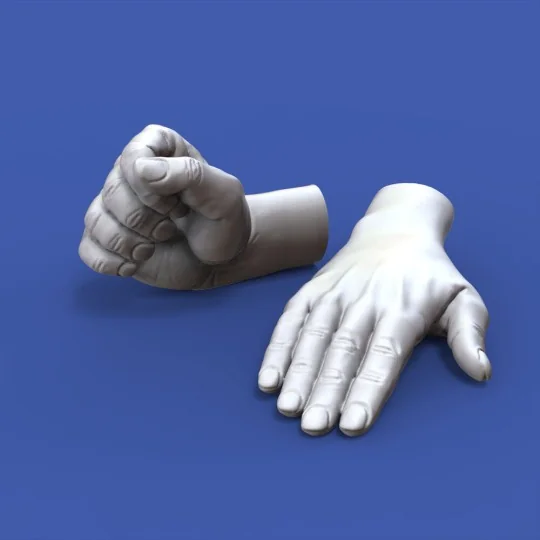 Assorted hands set No. 1, 1/16 - Royal Model RM962