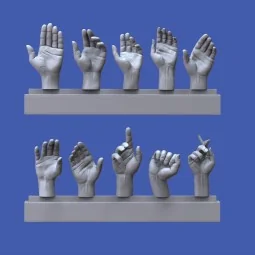 Assorted hands set No. 1, 1/16 - Royal Model RM962 2
