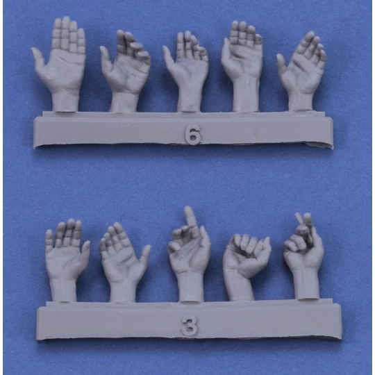 Assorted hands set No. 1, 1/16 - Royal Model RM962