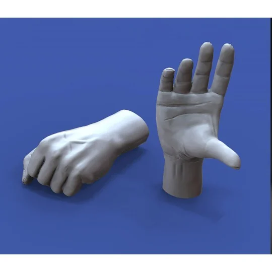 Assorted hands set No. 3, 1/16 - Royal Model RM964