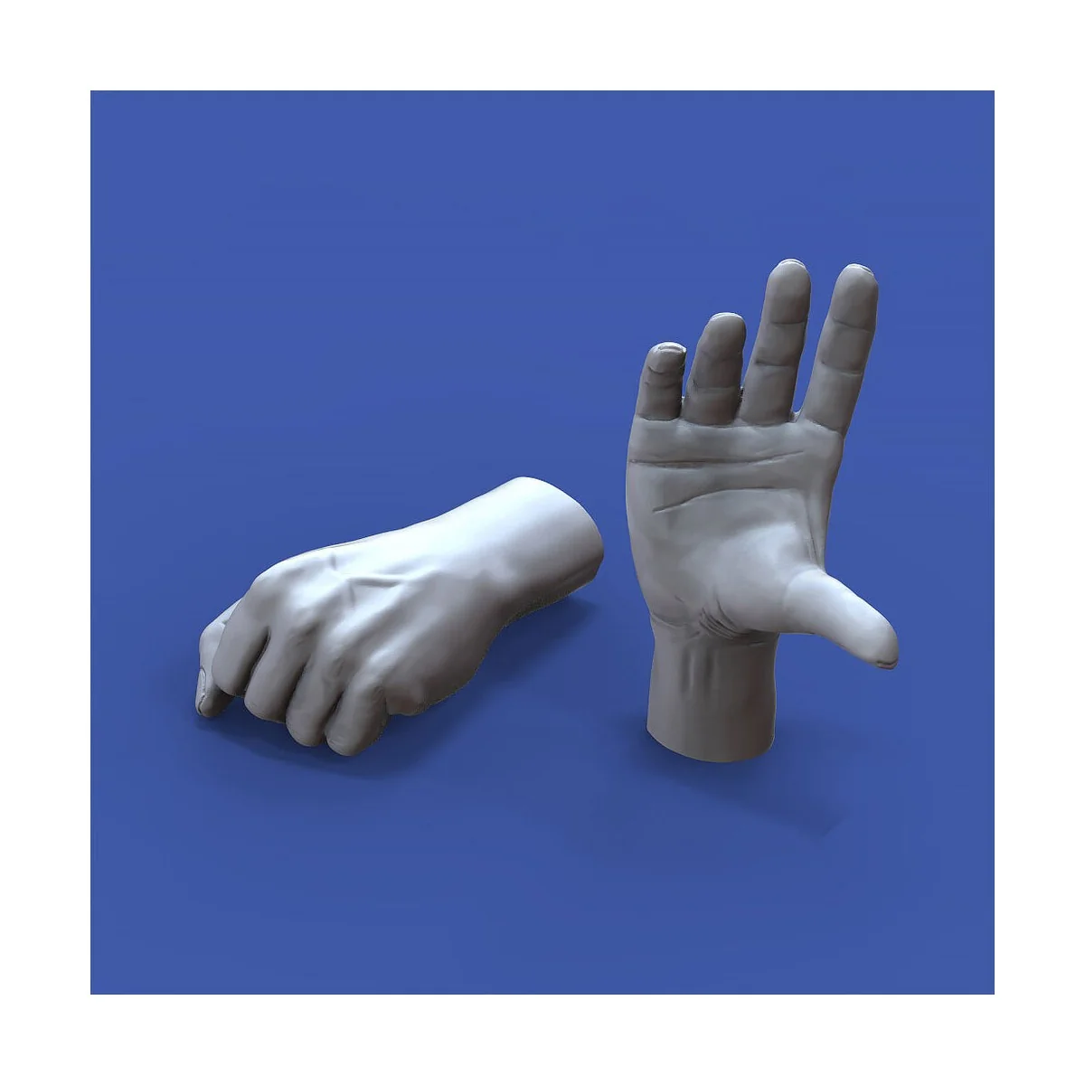 Assorted hands set No. 2, 1/16 - Royal Model RM963