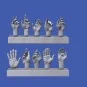 Assorted hands set No. 5, 1/16 - Royal Model RM967