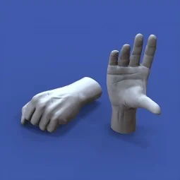 Assorted hands, 1/48 - Royal Model RM1001 2