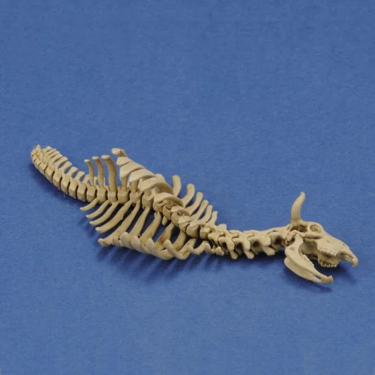 Cow skeleton n.1 3D printed, 1/35 - Royal Model RM1046