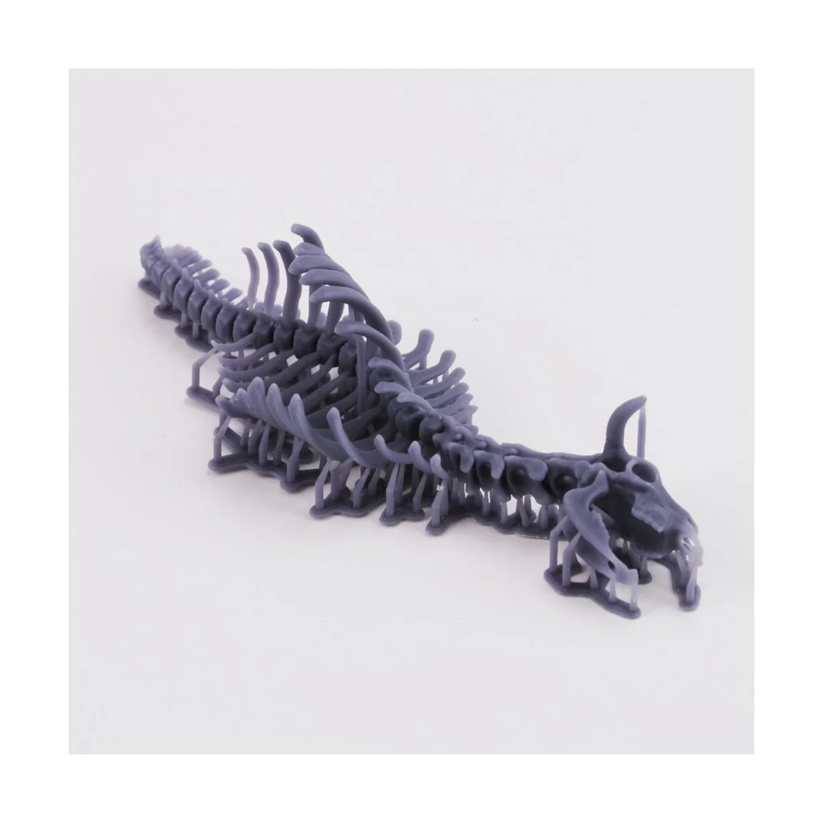 Cow skeleton n.1 3D printed, 1/35 - Royal Model RM1046