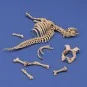 Cow skeleton n.3, 1/35 - Royal Model RM1048