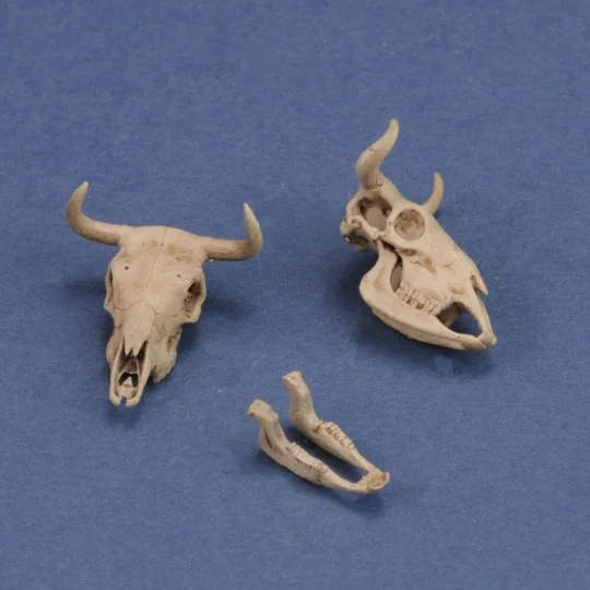 Cow skulls, 1/35 - Royal Model RM1051