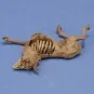 Donkey carcass, 1/35 - Royal Model RM1068