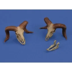 Mufflon skulls 3D printed, 1/35 - Royal Model RM1052