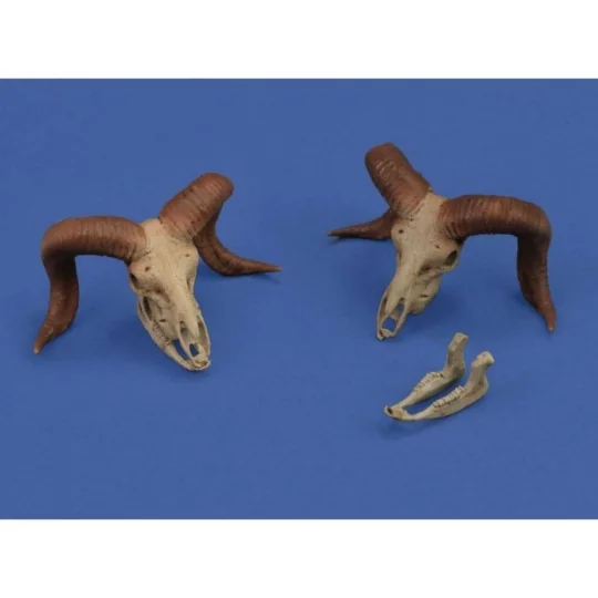 Mufflon skulls 3D printed, 1/35 - Royal Model RM1052