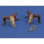 Mufflon skulls 3D printed, 1/35 - Royal Model RM1052