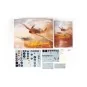 KITTYHAWK DUAL COMBO, 1/48 - Eduard Plastic Kits 11187
