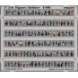 Figures Airliner, 1/400 - Eduard Accessories 17519
