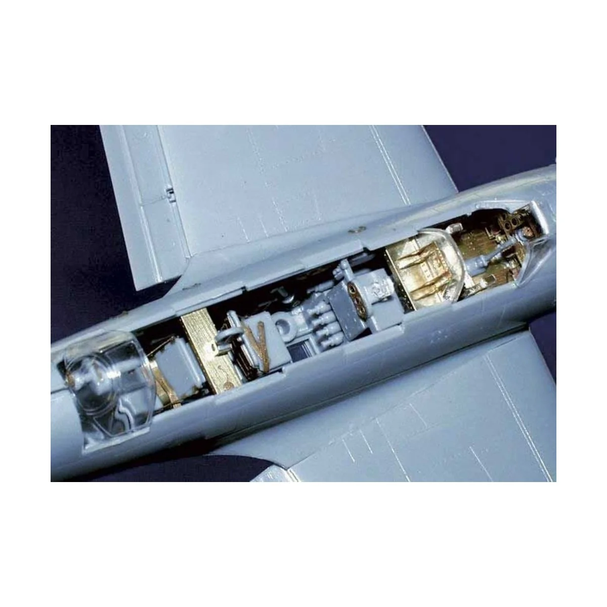 C6N1 Saiun/Myrt, 1/48 - Eduard Accessories 48439