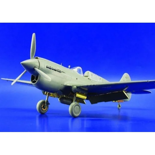 P-40E Warhawk für Hasegawa Bausatz, 1/48 - Eduard Accessories 49314