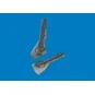 Fw 190 undercarriage legs PRINT for Revell, 1/32 - Eduard Accessori...