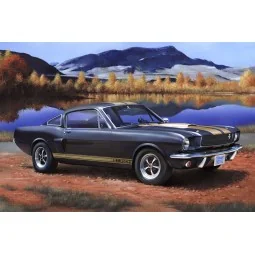 Shelby Mustang GT 350 H, 1/24 - Revell 07242 2