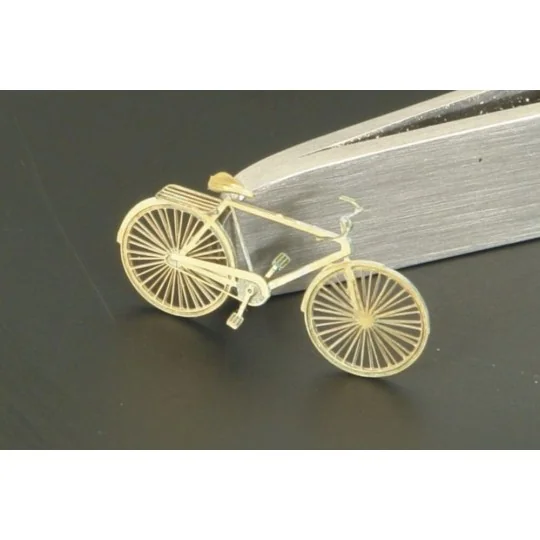 BICYCLE, 1/120 - Hauler HTT120034