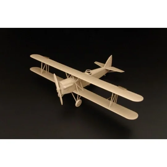 Letov S-16 1 Prague-Tokyo-Prague, 1/72 - Brengun BRP72014