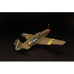 A-36 Apache USAF, 1/72 - Brengun BRP72025 2