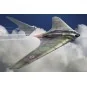 Horten Ho-229A, 1/144 - Brengun BRP144007