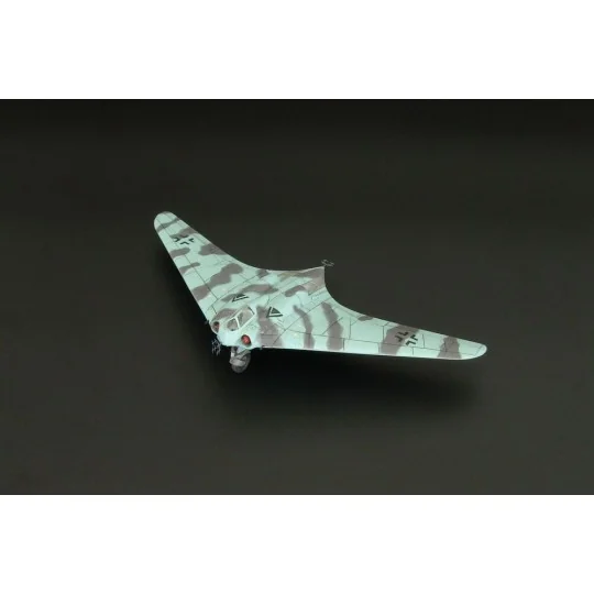 Ho-229 Night Fighter, 1/144 - Brengun BRP144010