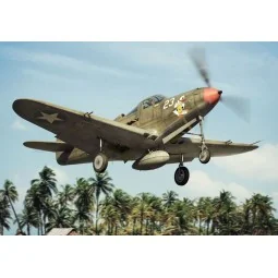 P-39 D-F-K Airacobra, 1/144 - Brengun BRP144011