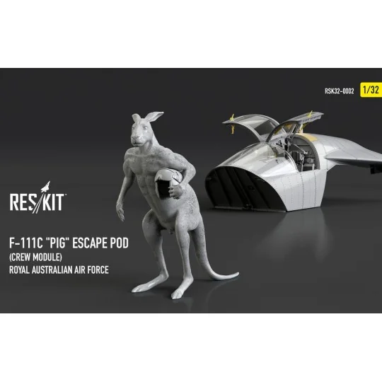 F-111? Pig Escape Pod (Crew Module) Royal Australian Air Force - re...