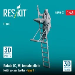 Rafale (C, M) female pilot (with access ladder - type 1) (1 pcs) (3...
