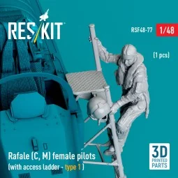 Rafale (C, M) female pilot (with access ladder - type 1) (1 pcs) (3... 2