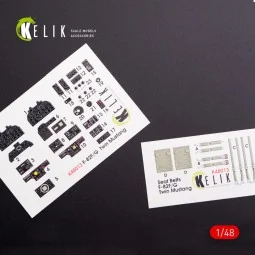 F-82 (F, G) Twin Mustang interior 3D decals for Modelsvit kit, 1/48...