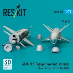 AGM-142 Popeye/Have Nap missiles (2 pcs) (F-4E, F-15I, F-111C, B-52... 2