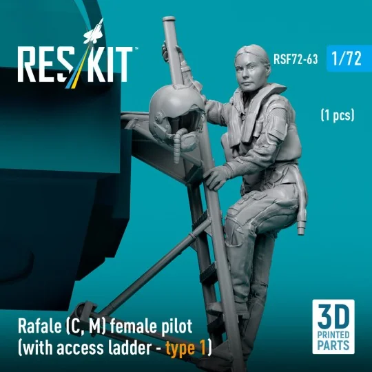 Rafale (C, M) female pilot (with access ladder - type 1) (1 pcs) (3...