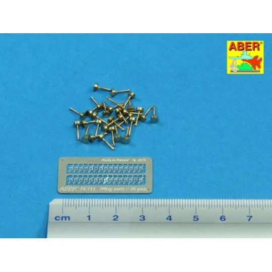 Wing nuts PE nuts with turned bolt x 30 pcs., 1/16 - Aber Models 16111