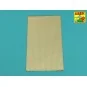 Engrave plate - Aber Models PP19