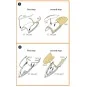 F-86A double-sided painting mask for CP kits, 1/48 - Clear Prop Acc...