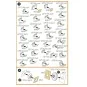 Be-6 Madge painting mask for Trumpeter kit, 1/72 - Clear Prop Acces...