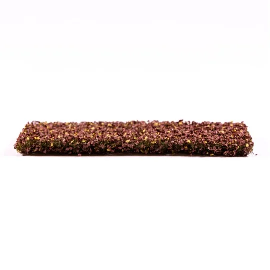Beech Foliage Autumn - AK Interactive AK8141