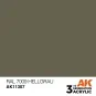 RAL 7009 Hellgrau - AK Interactive AK11307