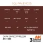 Dark Shadow Flesh - AK Interactive AK11405