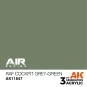 RAF Cockpit Grey-Green - AK Interactive AK11847