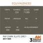 RAF Dark Slate Grey - AK Interactive AK11849