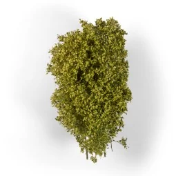 SPRING FILIGREE BUSHES - AK Interactive AK8236 2