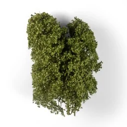 SUMMER FILIGREE BUSHES - AK Interactive AK8237 2