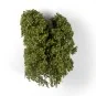 SUMMER FILIGREE BUSHES - AK Interactive AK8237