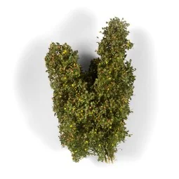 EARLY FALL FILIGREE BUSHES - AK Interactive AK8238 2