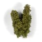 EARLY FALL FILIGREE BUSHES - AK Interactive AK8238