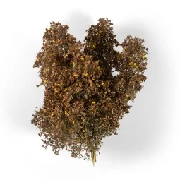 LATE FALL FILIGREE BUSHES - AK Interactive AK8239 2