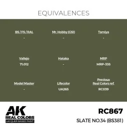 Real Colors: Slate No.34 (BS381) 17 ml. - AK Interactive RC867 2