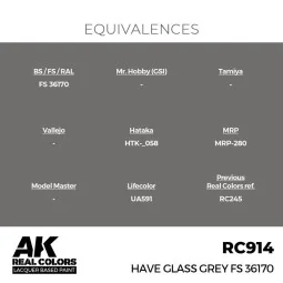 Real Colors: Have Glass Grey FS 36170 17 ml. - AK Interactive RC914 2
